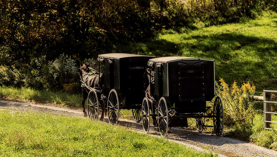 Transportation Photograph - Amish Country #4 by Mountain Dreams