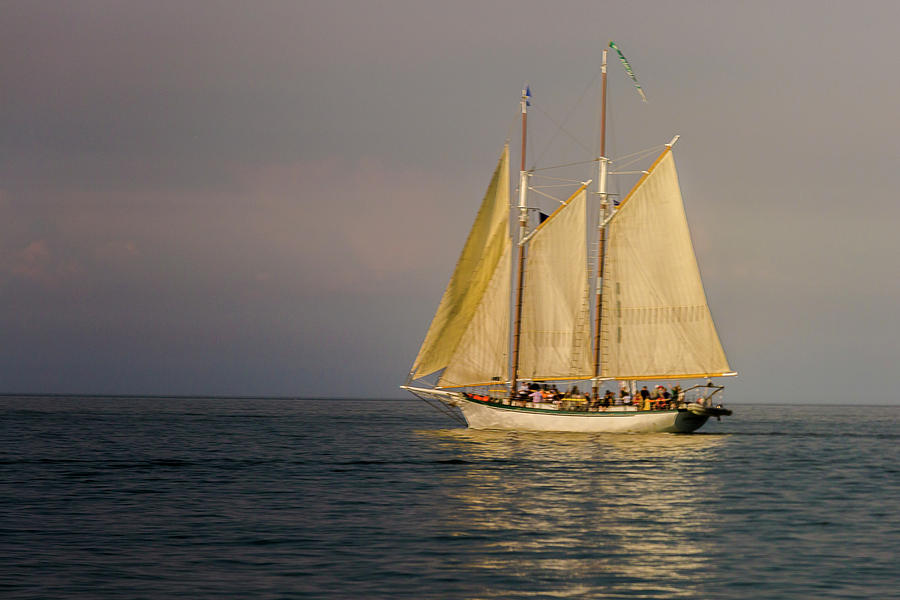 Appledore IV #4 Photograph by Jack R Perry