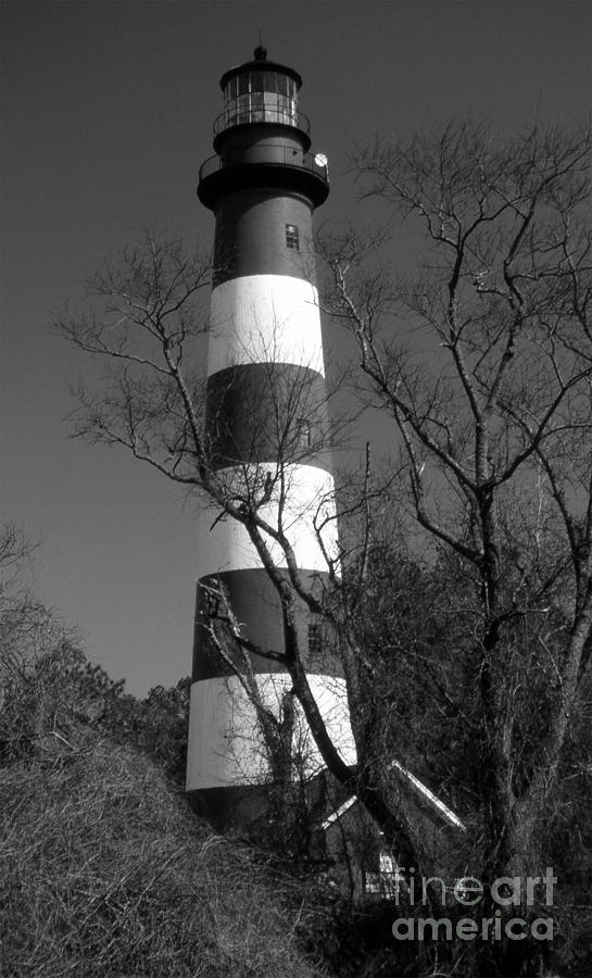 Lighthouse Photograph - Assateague Island Lighthouse #6 by Skip Willits