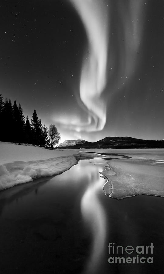 Black And White Photograph - Aurora Borealis Over Sandvannet Lake by Arild Heitmann