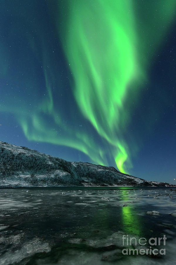 Aurora Northern Polar Light In Night Sky Over Northern Norway Photograph By Sjoerd Van Der Wal