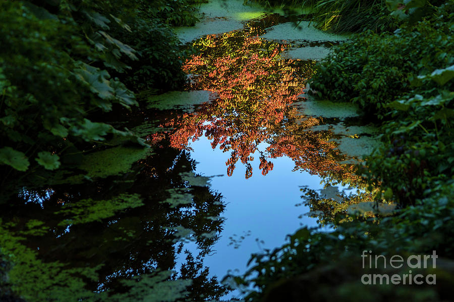 Autumn Colors #4 Photograph by Jim Corwin