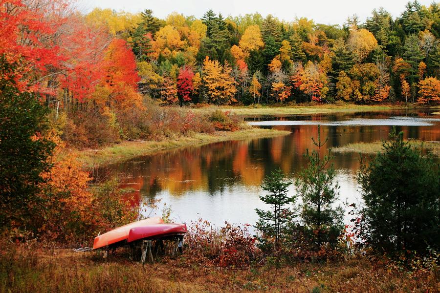 Autumn in Maine Photograph by Laurie Bird - Fine Art America