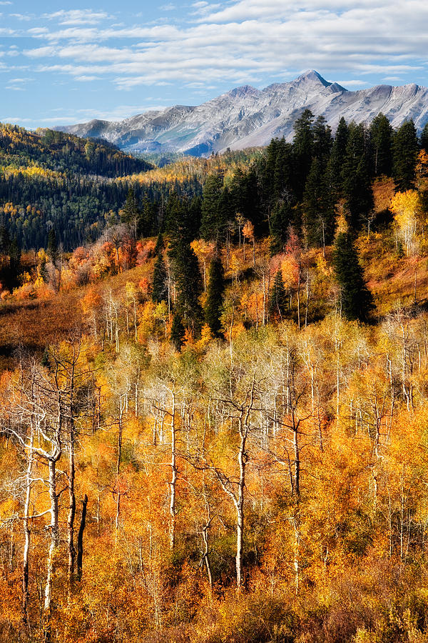 Autumn in the Wasatch Mountains #4 Photograph by Douglas Pulsipher
