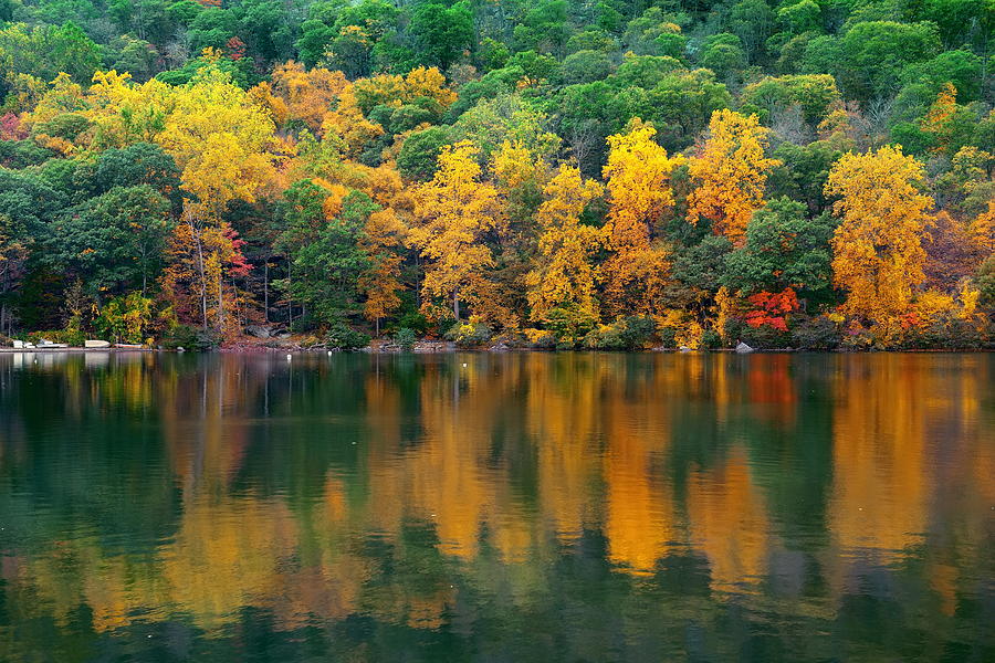 Autumn Lake #4 Photograph by Songquan Deng
