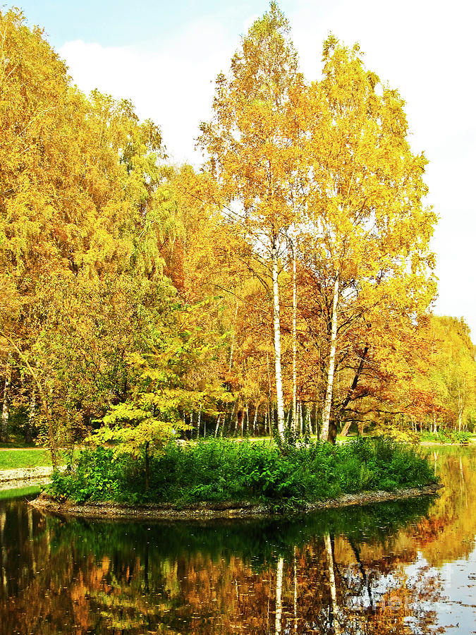 Autumn landscape #4 Photograph by Irina Afonskaya