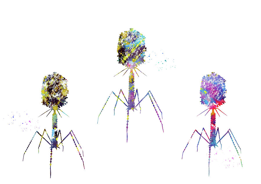 Bacteriophage Digital Art by Erzebet S - Fine Art America