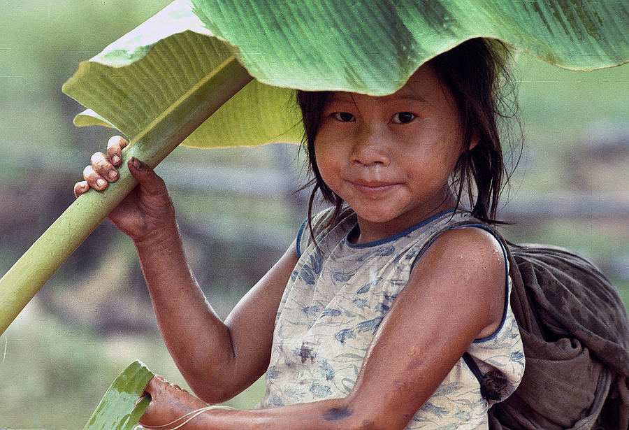 Umbrella Photograph - Banana Leaf Umbrella in Laos #4 by Carl Purcell