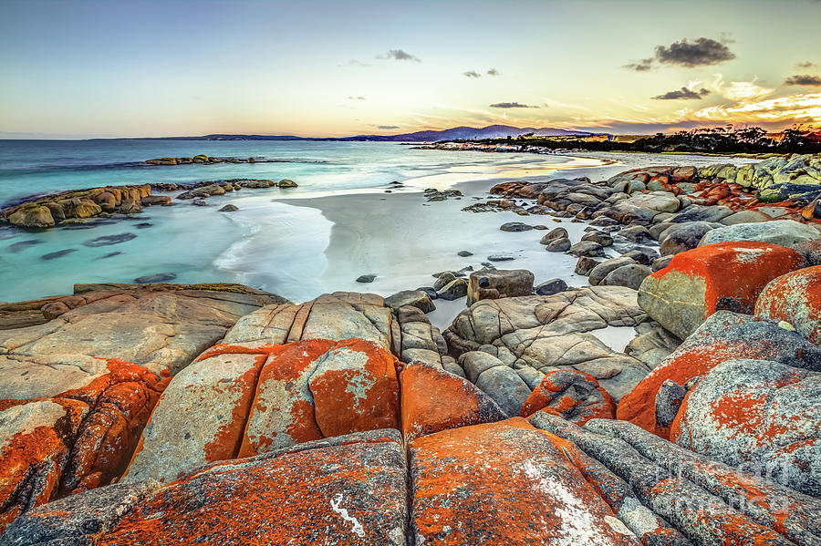 Bay of Fires #4 Photograph by Benny Marty