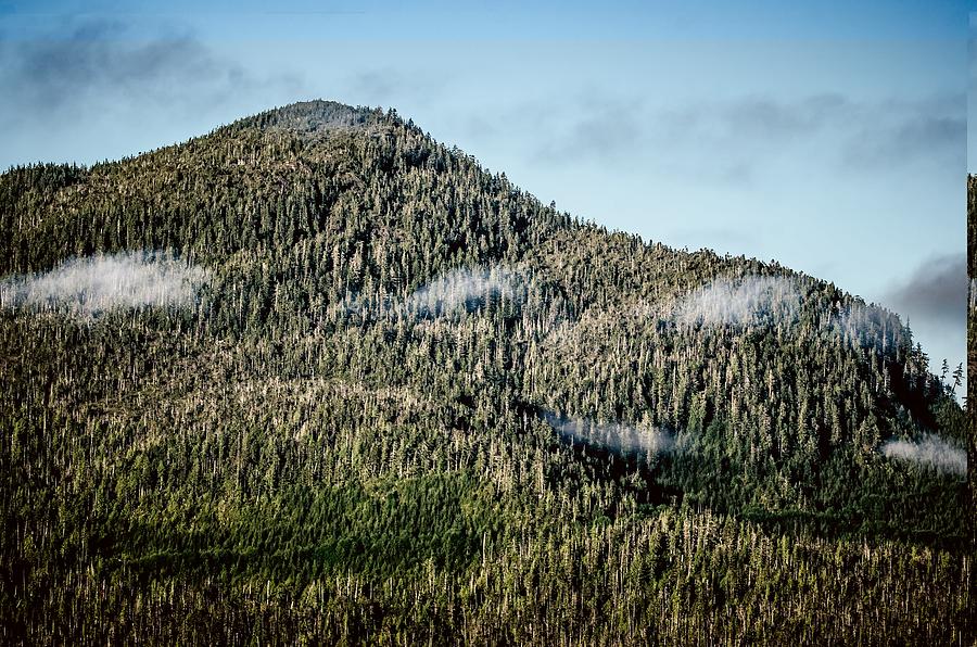 Beautiful Landscapes Around Ketchikan And Tongass Forest In Alas #4 Photograph by Alex Grichenko