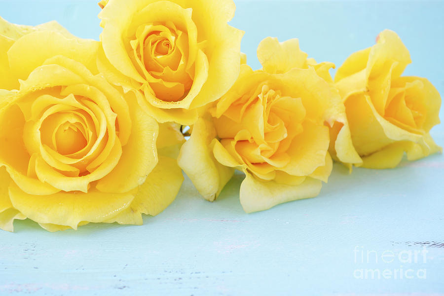 Beautiful yellow roses on rustic wood table.  #4 Photograph by Milleflore Images