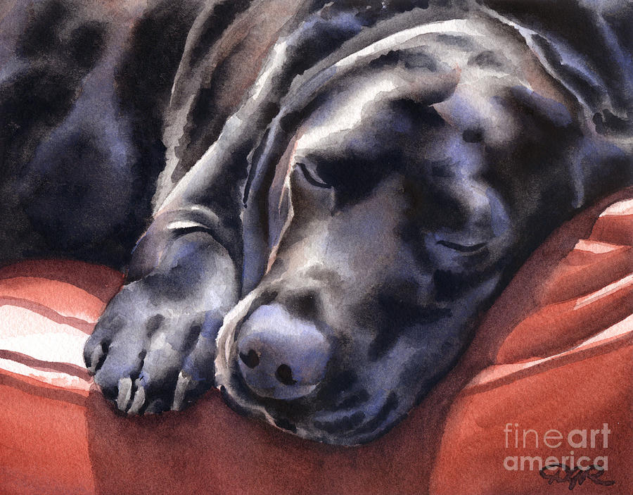 Dog Painting - Black Lab #3 by David Rogers