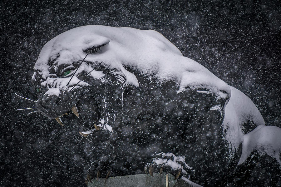 Black Panther Statue Seen Through Falling Snow Flakes #4 Photograph by Alex Grichenko