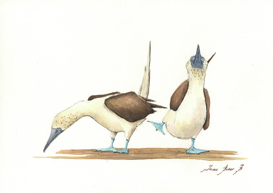 Bird Watercolor Painting - Blue footed boobies #4 by Juan Bosco