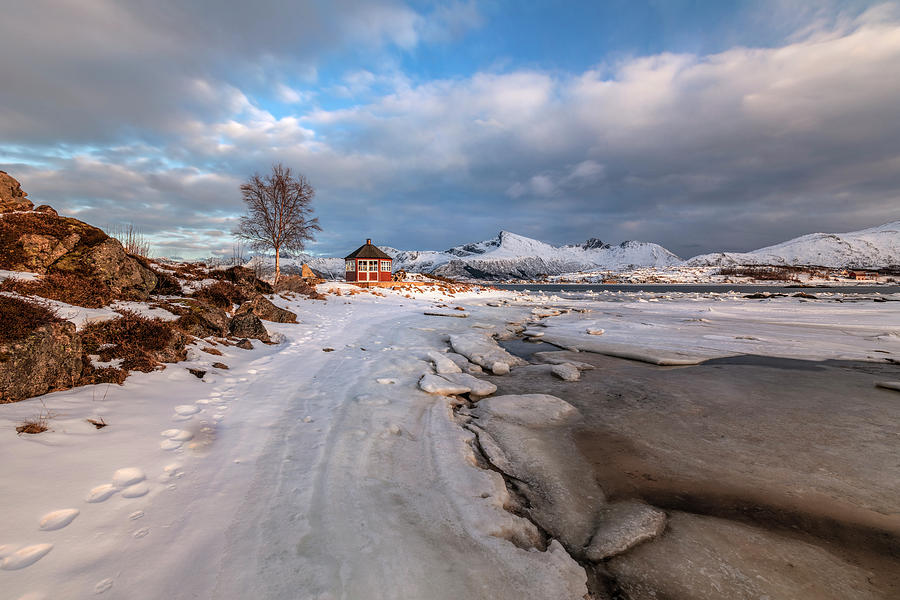 Bostad, Lofoten - Norway #4 Photograph by Joana Kruse
