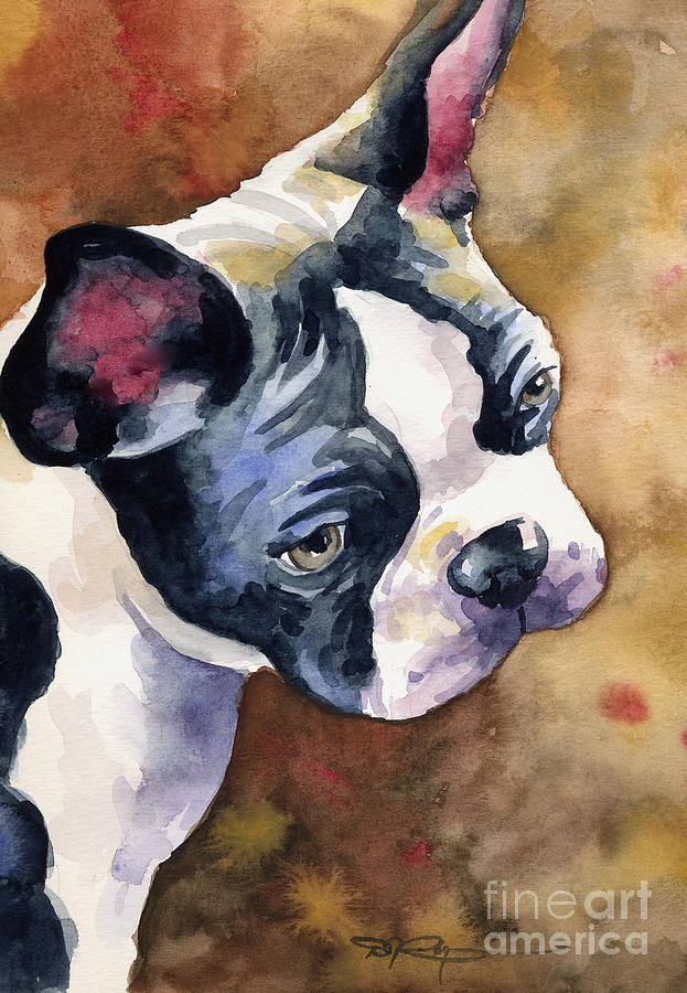 Boston Painting - Boston Terrier #3 by David Rogers