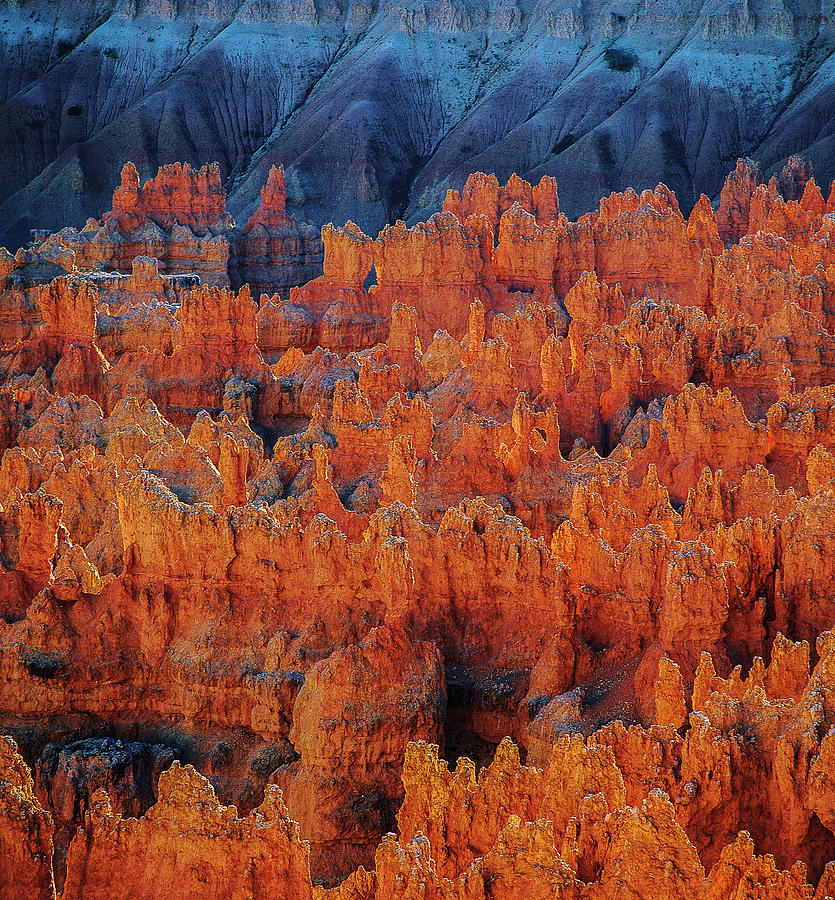 Bryce Canyon #4 Photograph by Elmer Jensen