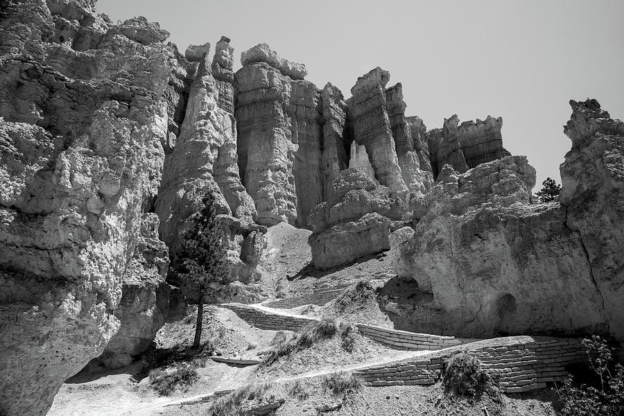 Bryce Canyon in Black and White Photograph by Bob Cuthbert - Fine Art ...