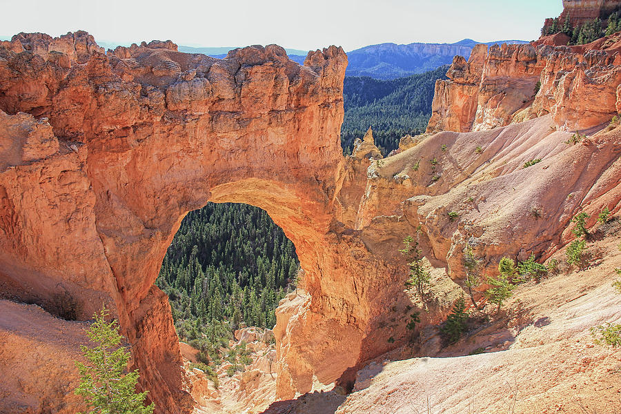 Bryce Canyon National Park Natural Bridge Photograph by Jennie Marie Schell
