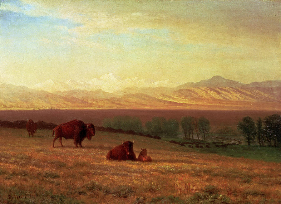 Albert Bierstadt  Painting - Buffalo On The Plains #4 by Albert Bierstadt