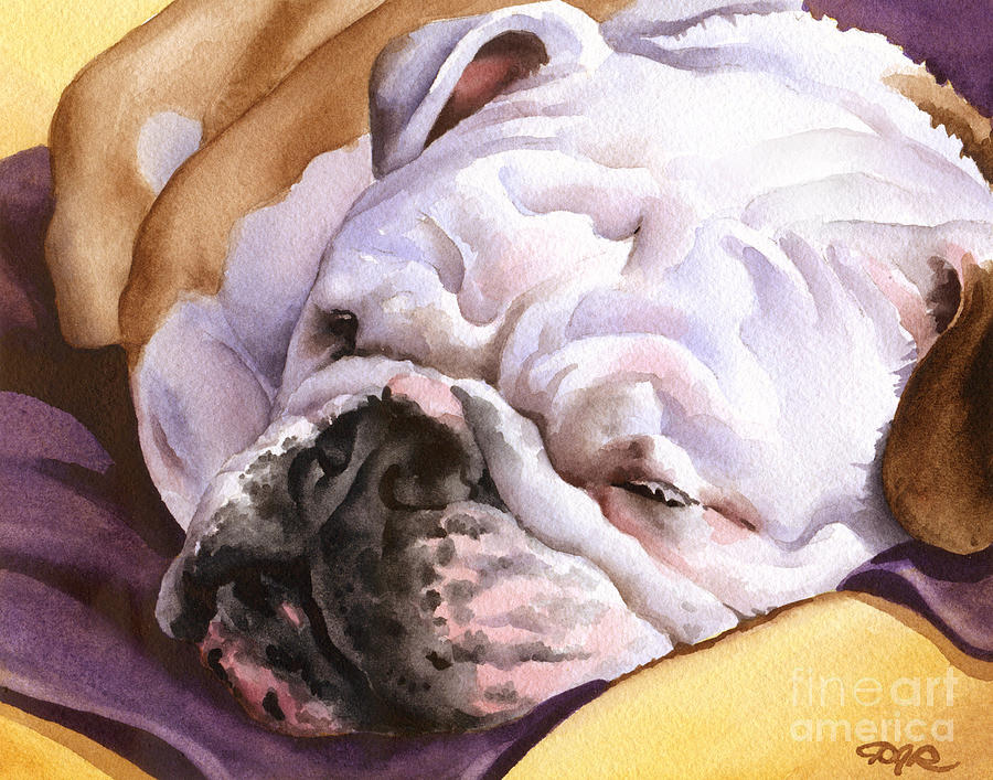 Dog Painting - Bulldog #7 by David Rogers