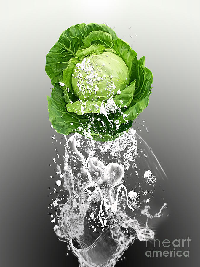 Cabbage Splash #4 Mixed Media by Marvin Blaine