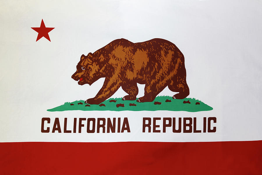 California flag #4 Photograph by Les Cunliffe