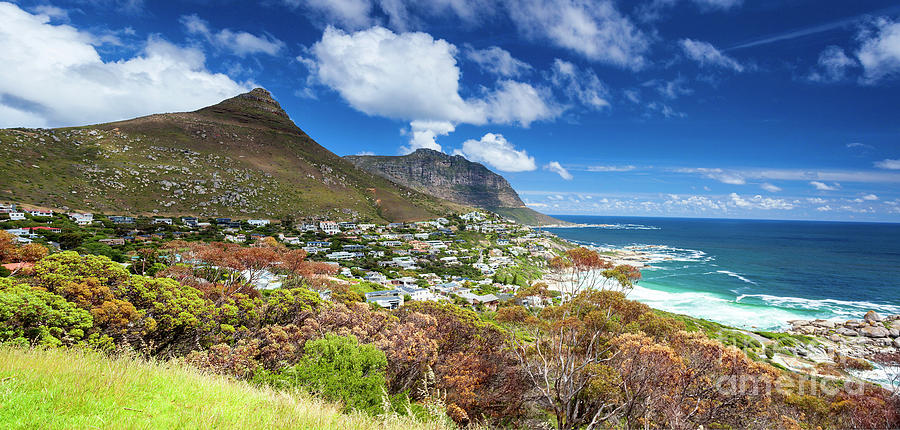 Lion Photograph - Cape Town panoramic landscape #4 by Anna Om