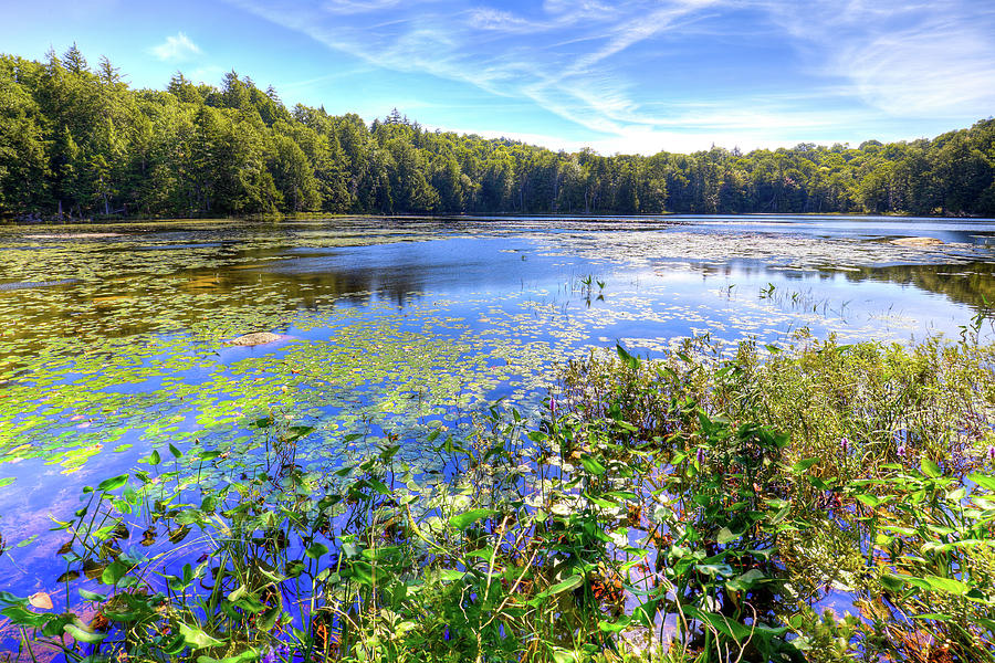 Cary Lake in the Adirondacks #5 Photograph by David Patterson