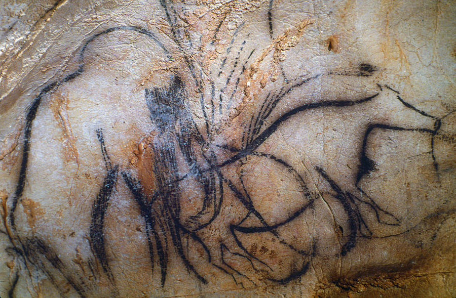 Prehistoric Photograph - Cave Art: Mammoth #4 by Granger