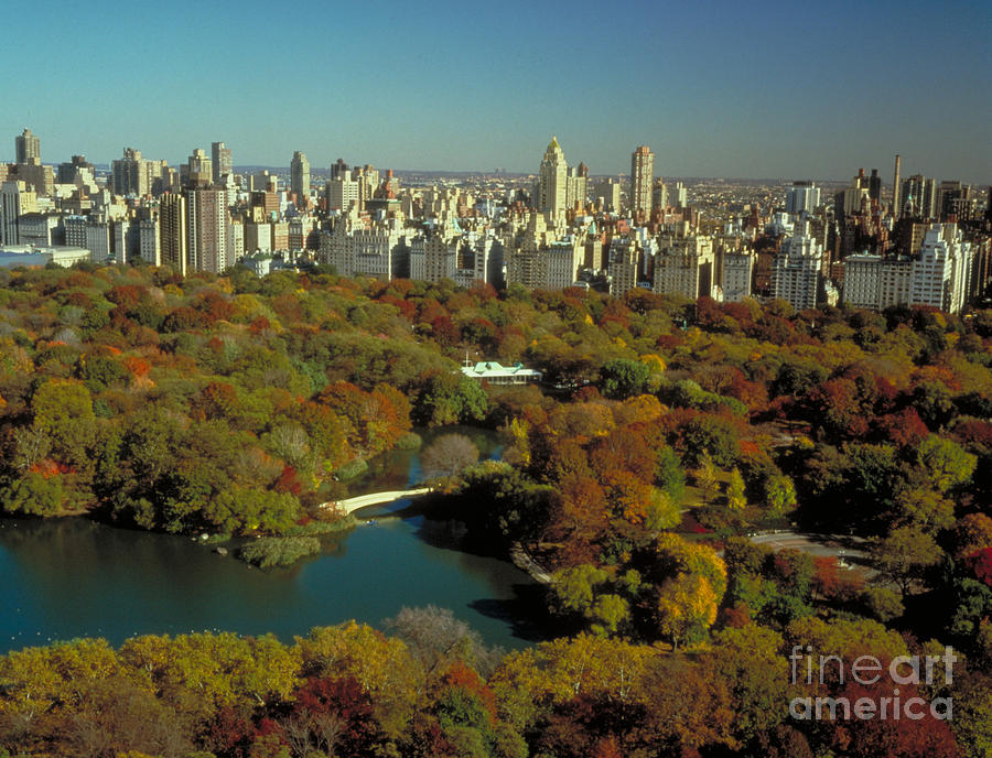 Central Park #4 Photograph by Rafael Macia