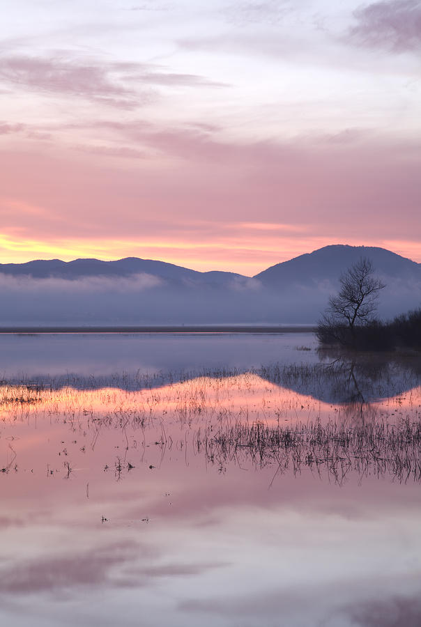 Cerknica lake at dawn #4 Photograph by Ian Middleton