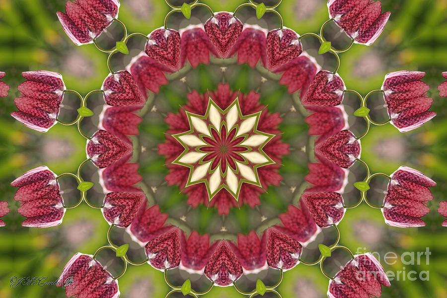 Checkered Lilies Mandala #2 Digital Art by J McCombie