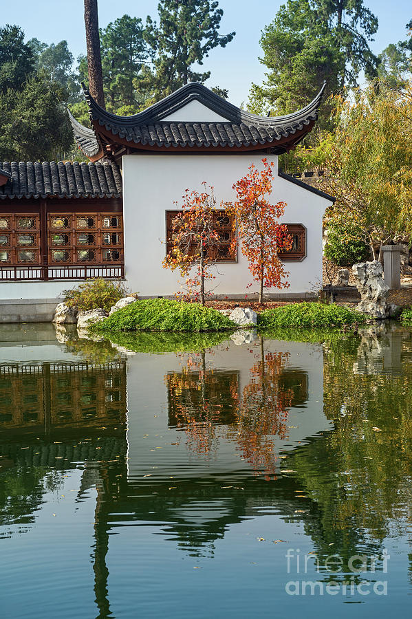 Tree Photograph - Chinese Garden at the Huntington Library. #4 by Jamie Pham