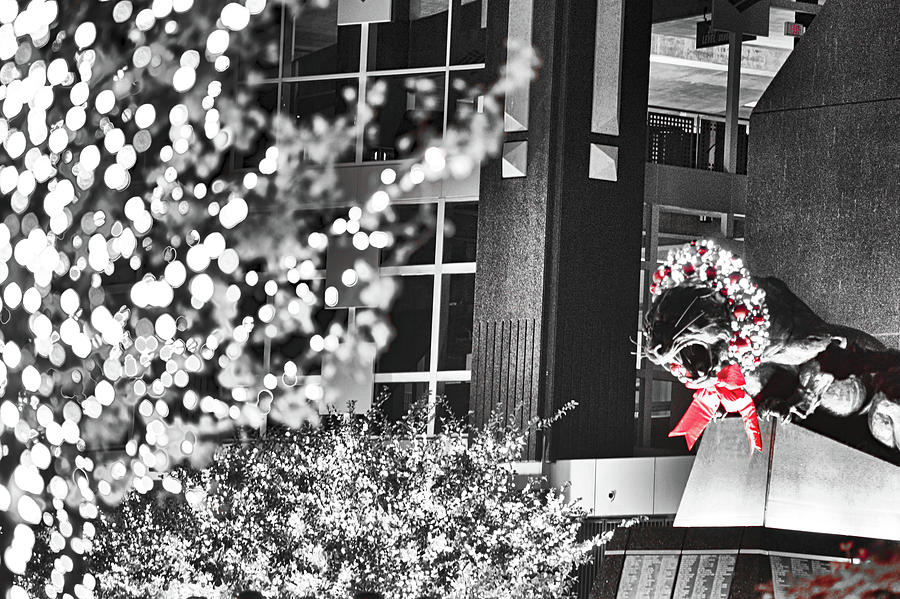 Christmas Decorations Around Carolina Panthers Stadium In Charlo