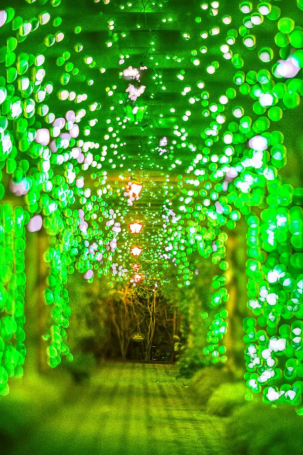 Christmas Light Bokeh At Daniel Stowe Gardens Belmont North Caro Photograph