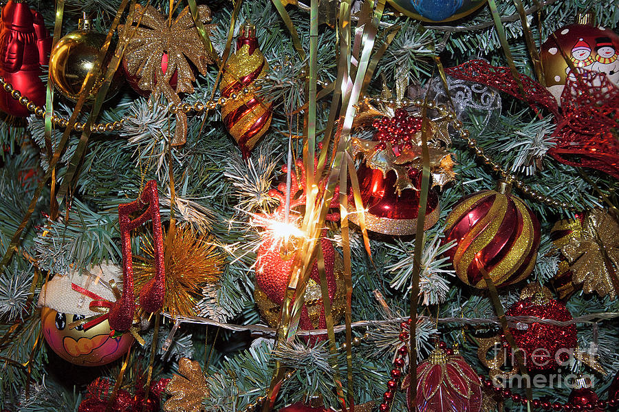 Christmas Photograph - Christmas Tree #4 by Elvira Ladocki