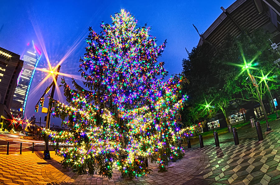 Christmas Tree Near Panther Stadium In Charlotte North Carolina Photograph by Alex Grichenko