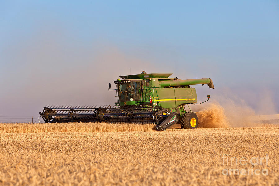 Combine Harvesting Wheat #4 Photograph by Inga Spence