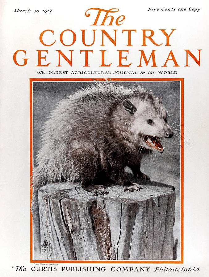 Cover Of Country Gentleman Agricultural #4 Photograph by Remsberg Inc