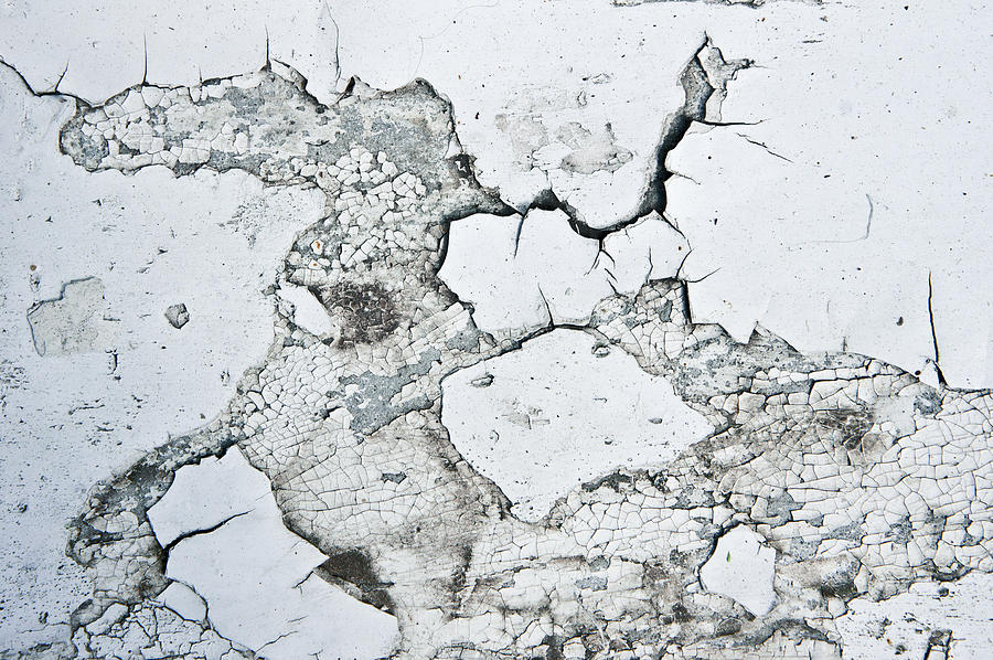 Abstract Photograph - Cracked paint #4 by Tom Gowanlock