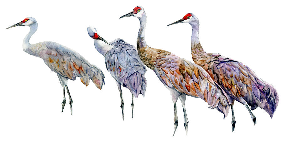 4 Cranes Painting by Vicky Lilla - Fine Art America