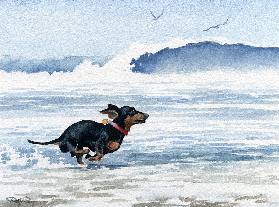 Dachshund at the Beach #3 Painting by David Rogers
