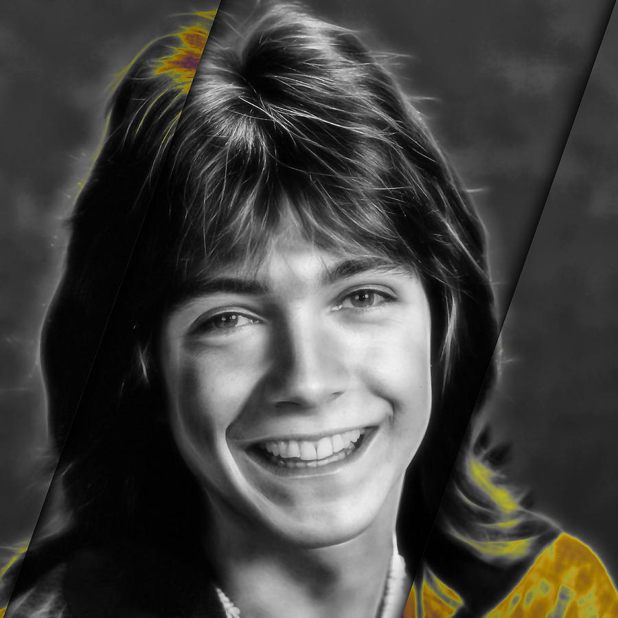 David Cassidy Mixed Media - David Cassidy 3 by Marvin Blaine David Cassidy Mixed Media - David Cassidy 3 by Marvin Blaine