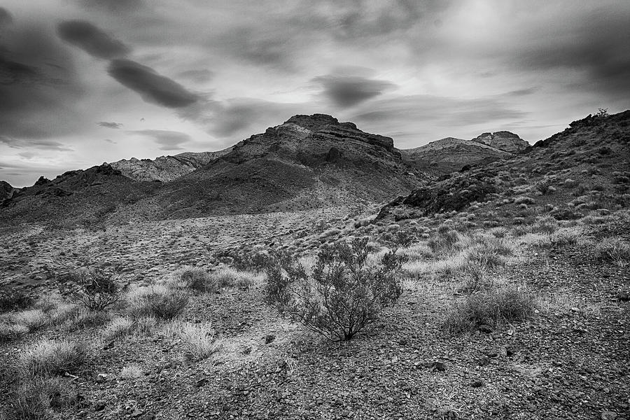 Death Valley #4 Photograph by Hugh Smith