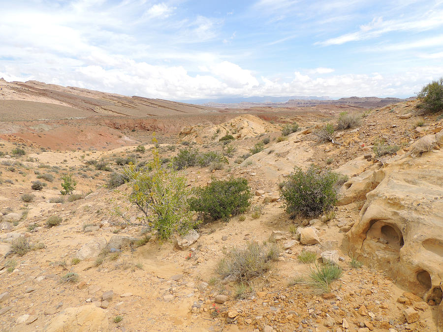 Desert Impressions Utah #5 Photograph by Andrew Chambers