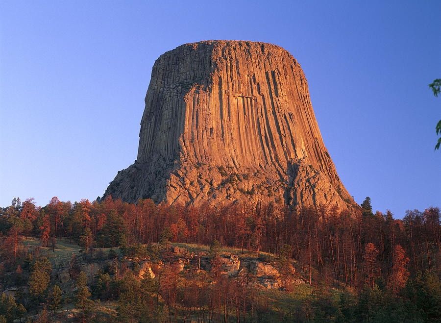 Devils Tower National Monument Showing #4 Photograph by Tim Fitzharris