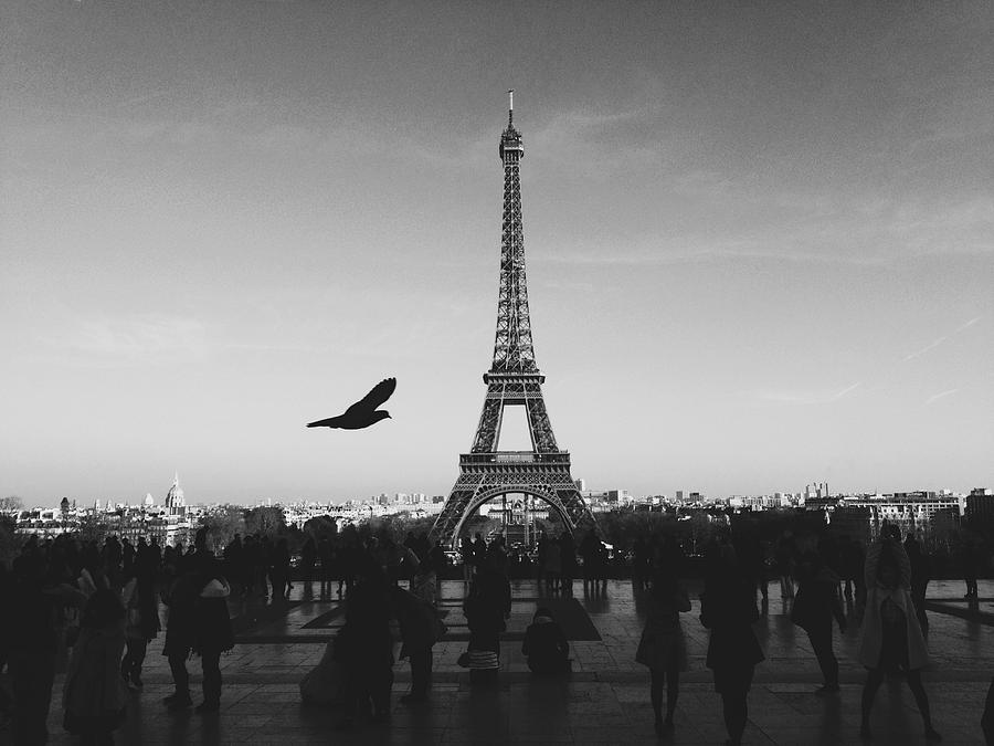 Paris Photograph - Eiffel Tower #2 by Product Pics