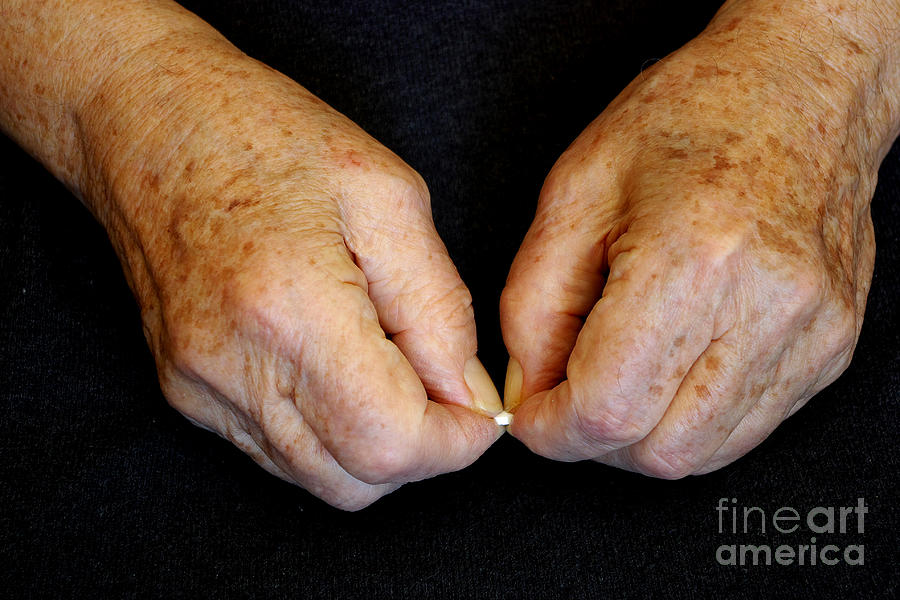 Elderly Hands Break A Pill #4 Photograph by Scimat