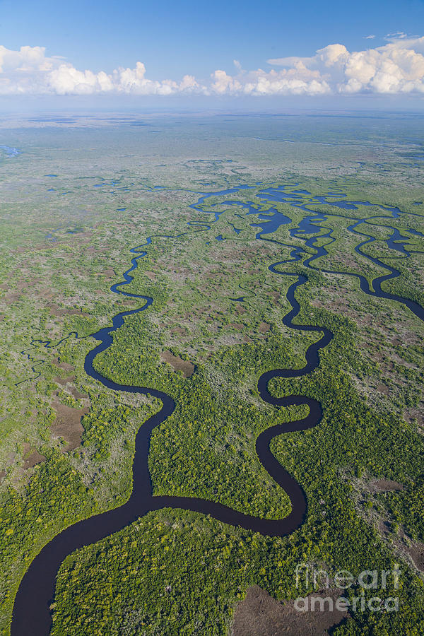 Everglades Aerial #4 Photograph by Juan Carlos Muoz